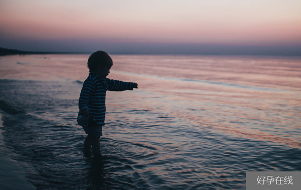 海淀妇幼保健院试管成功率