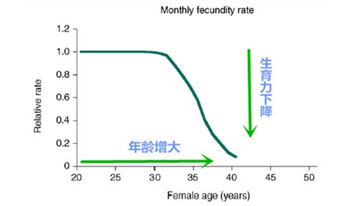 年龄越大怀孕成功率越低