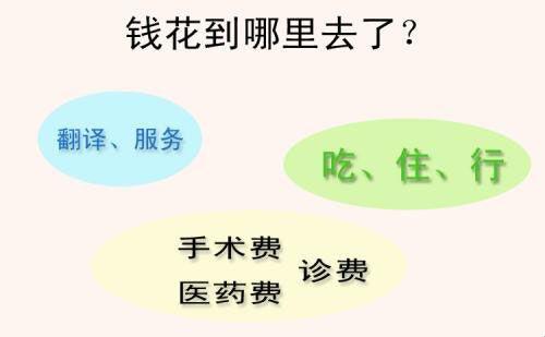 试管费用主要分手术、翻译、吃、住、行等