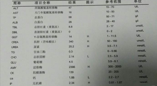 血尿素氮BUN的危害