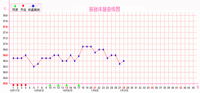 体温记录表