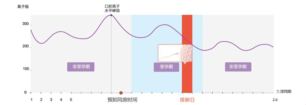 监测排卵的费用