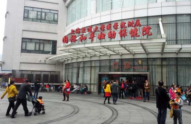 上海做试管助孕，上海国妇婴试管婴儿成功率和费用是怎样？